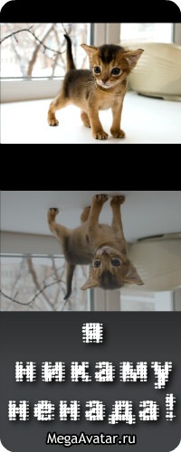 №18, Артур Лашинскіс, Житомир №18, Артур Лашинскіс, Житомир