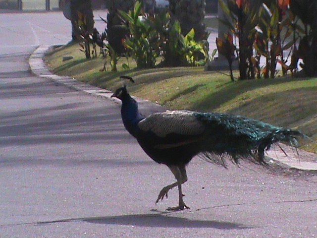Юлия Калинина | Санкт-Петербург