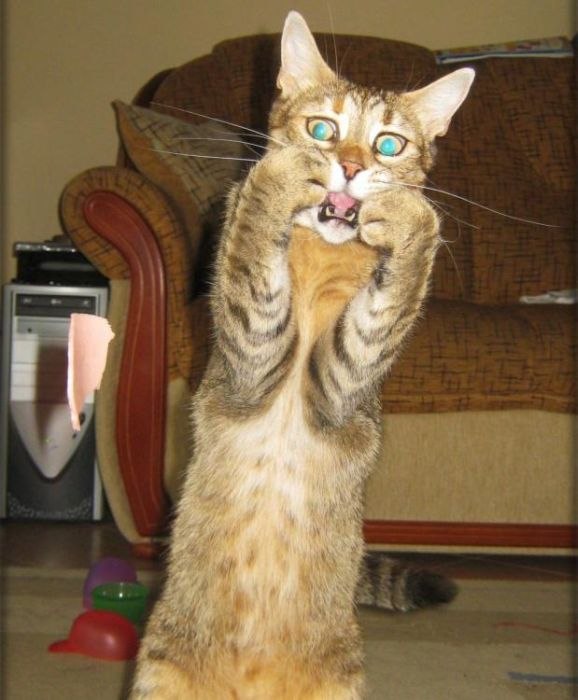 Николай Нефедьев | Красноярск