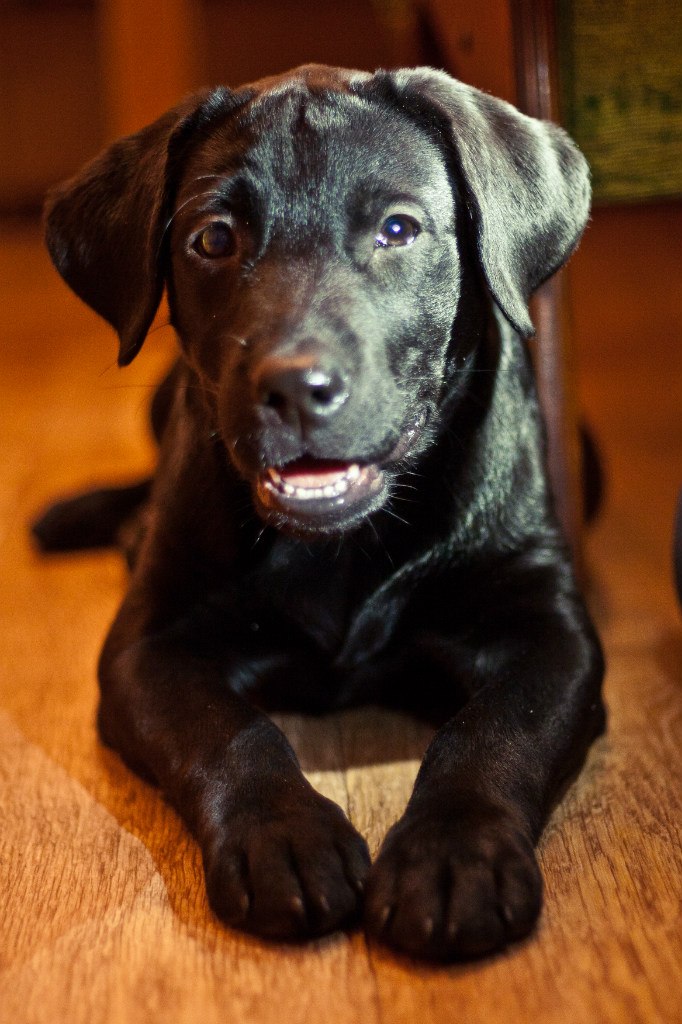 Тимофей Третьяков | Москва