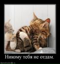 №3 Ада Мурадян : профиль, фото, статус - ВКонтакте