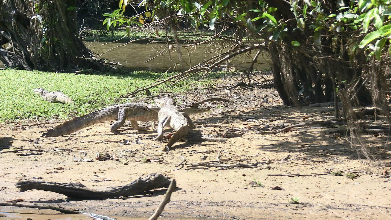 Виктория Иоаннидис | Москва