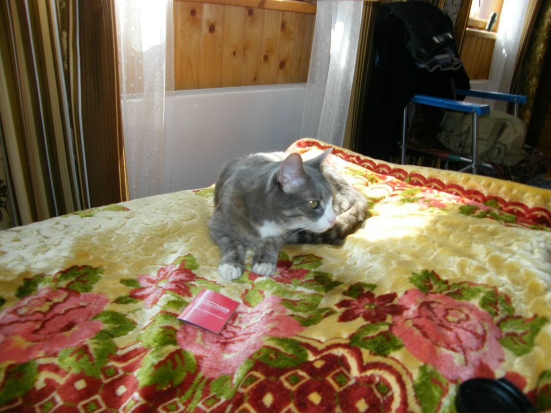 Сергей Фещук | Москва