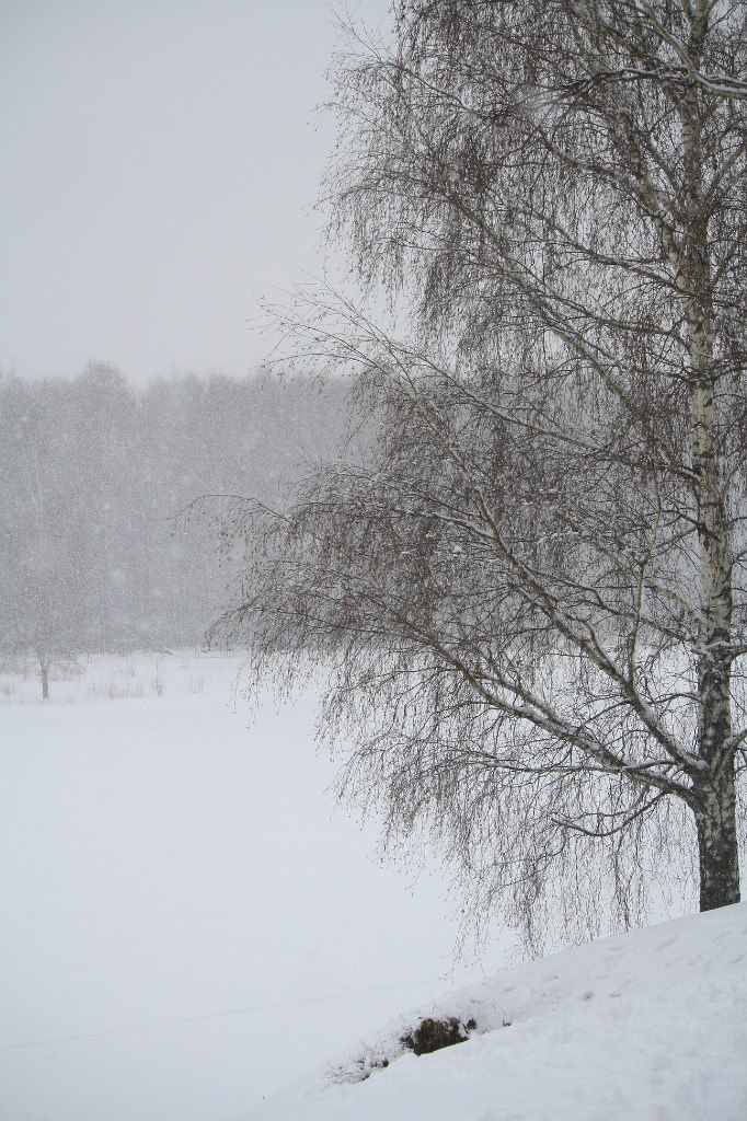 Никита Храмцов | Москва