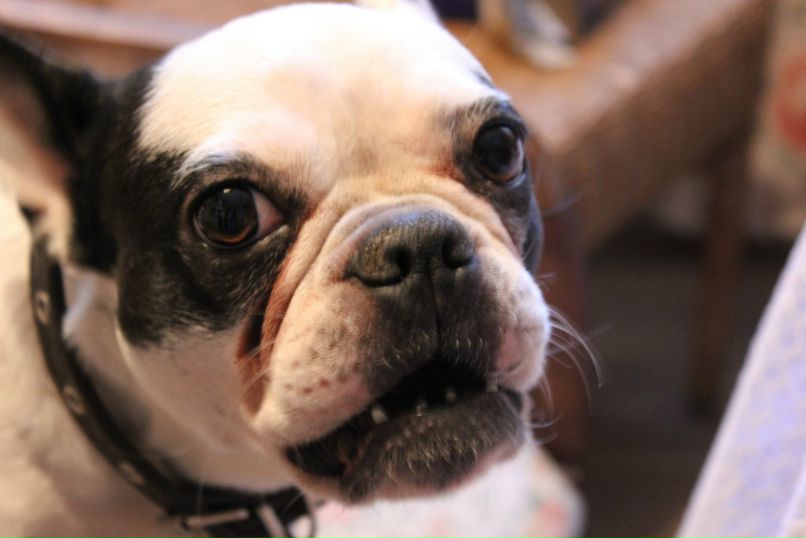 Никита Брага | Санкт-Петербург