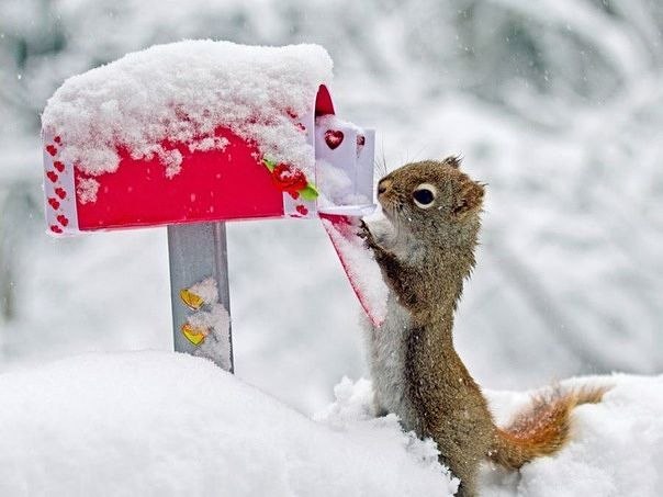 Ирина Мамичева | Москва