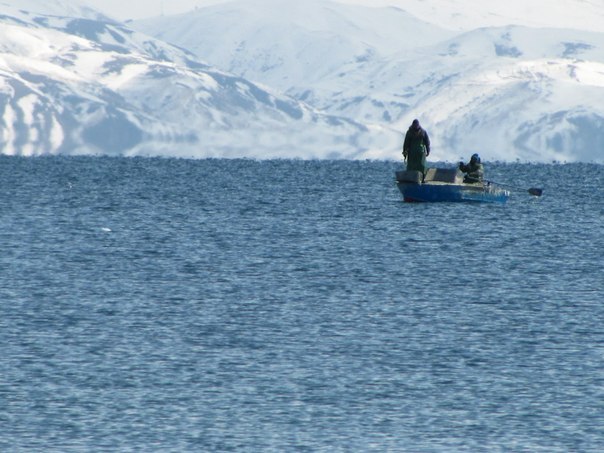 Полина Канбекова | Санкт-Петербург