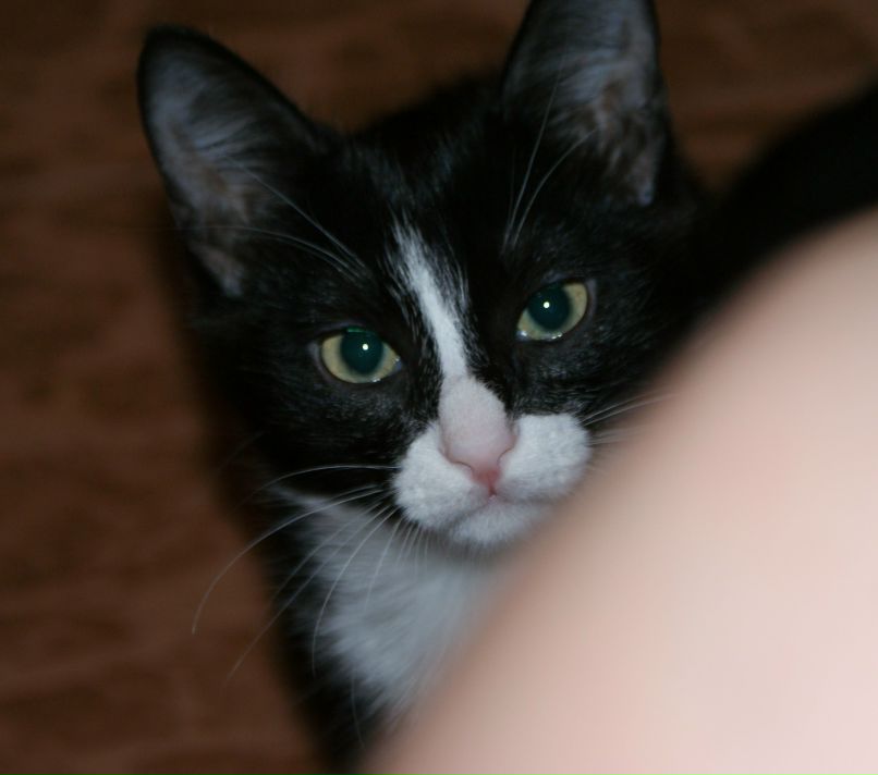 Maria Lu | Самара