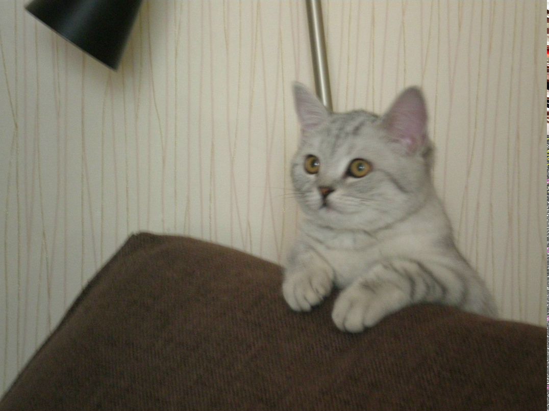 Татьяна Подколзина | Новосибирск