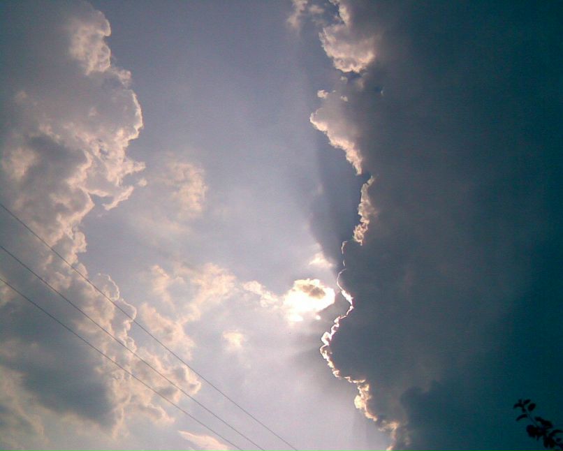 Vladimir Zamura | Першотравенск