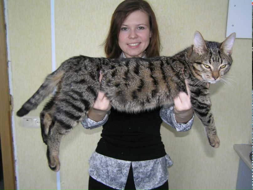 Анна Малышева | Набережные Челны