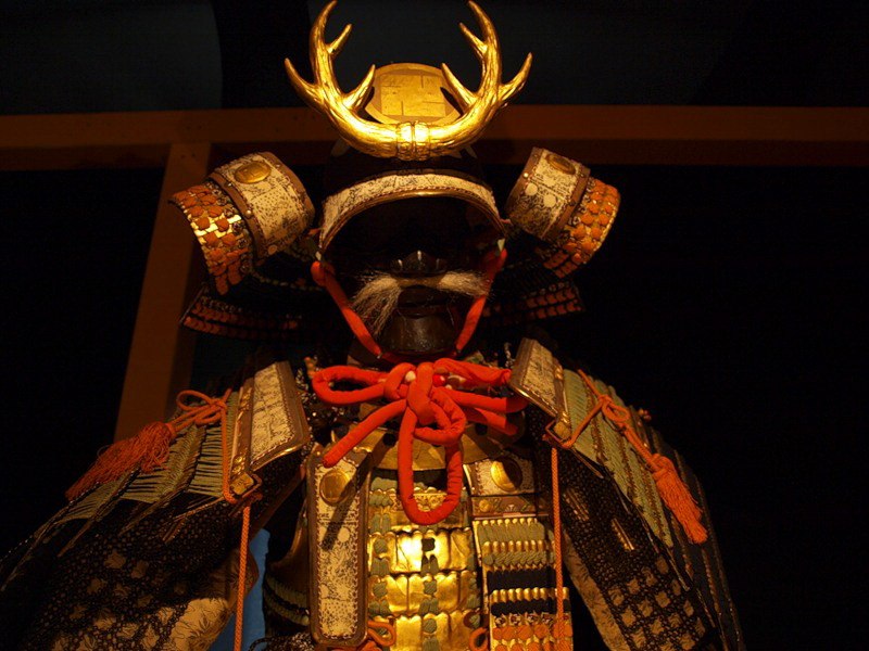 Светлана Селенкова | Москва