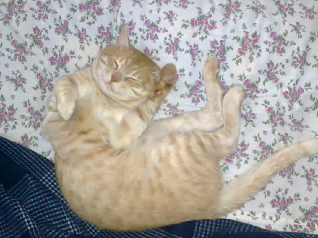 Сережка Бурмистренко BurMool'kO | Киев