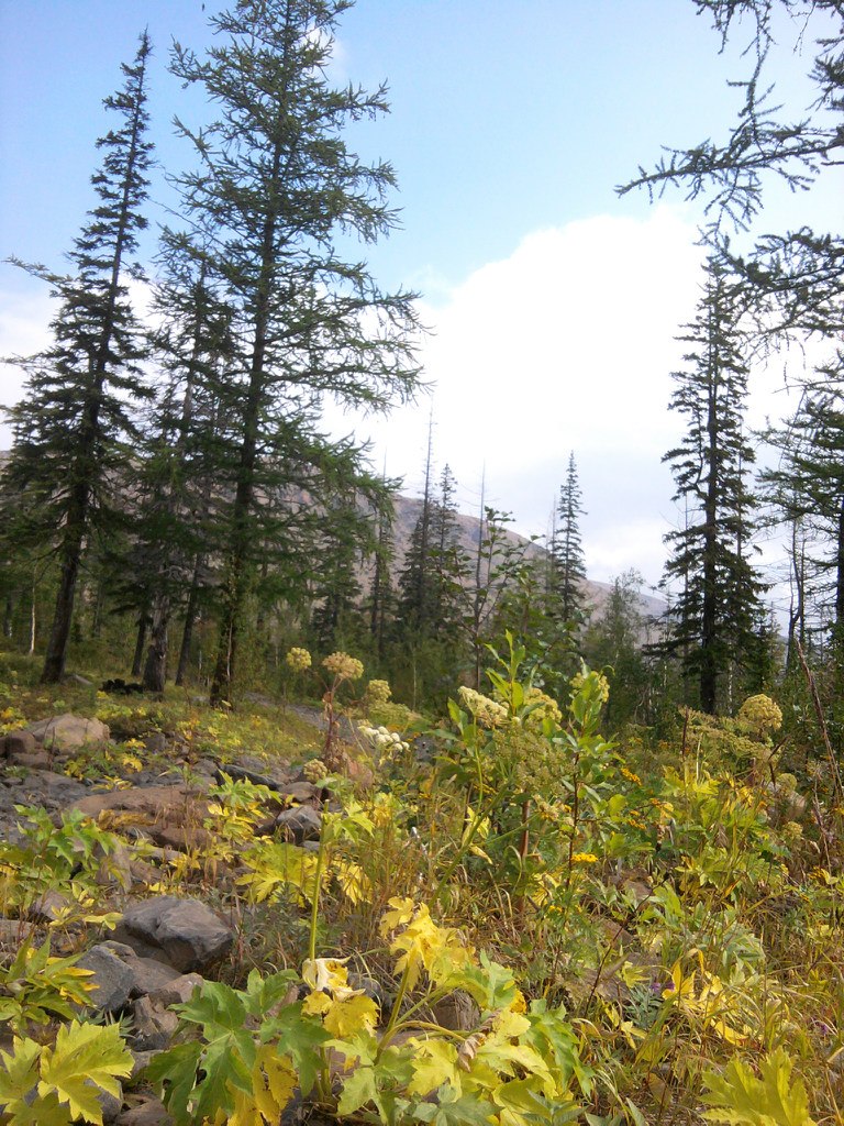 Наталья Киселёва | Томск