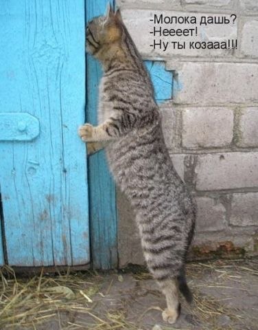 Ольга Джига | Киев