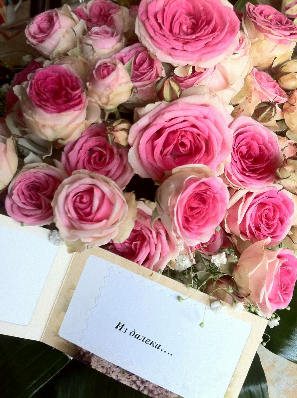 Нина Нефедова | Москва