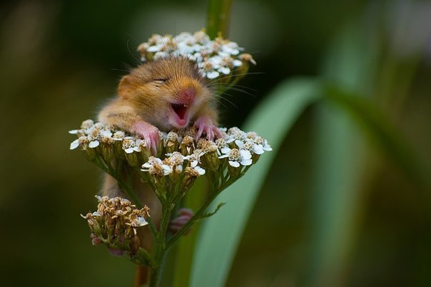 Инна Хравинина | Донецк