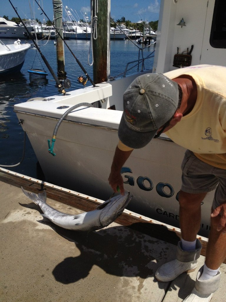 Данила Ильчик | 