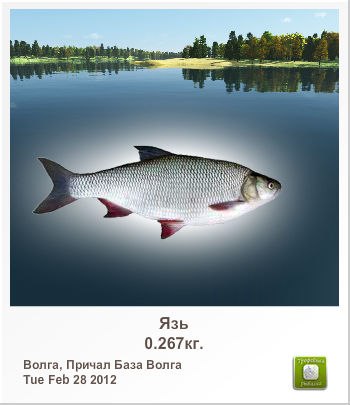 Александр Евсеев | Омск