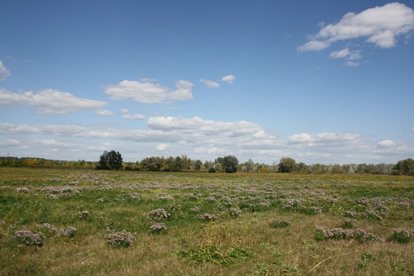 Маргарита Иванова | Москва