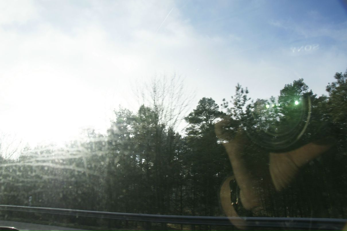 Regina Nedonnke | Köln