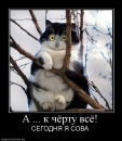 Фотография Федянин Анатолий