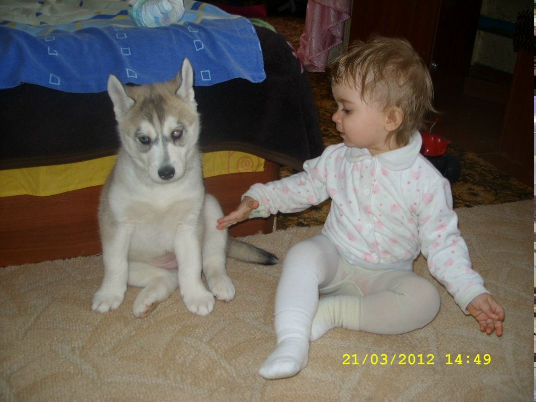 Юля Пономарева | 