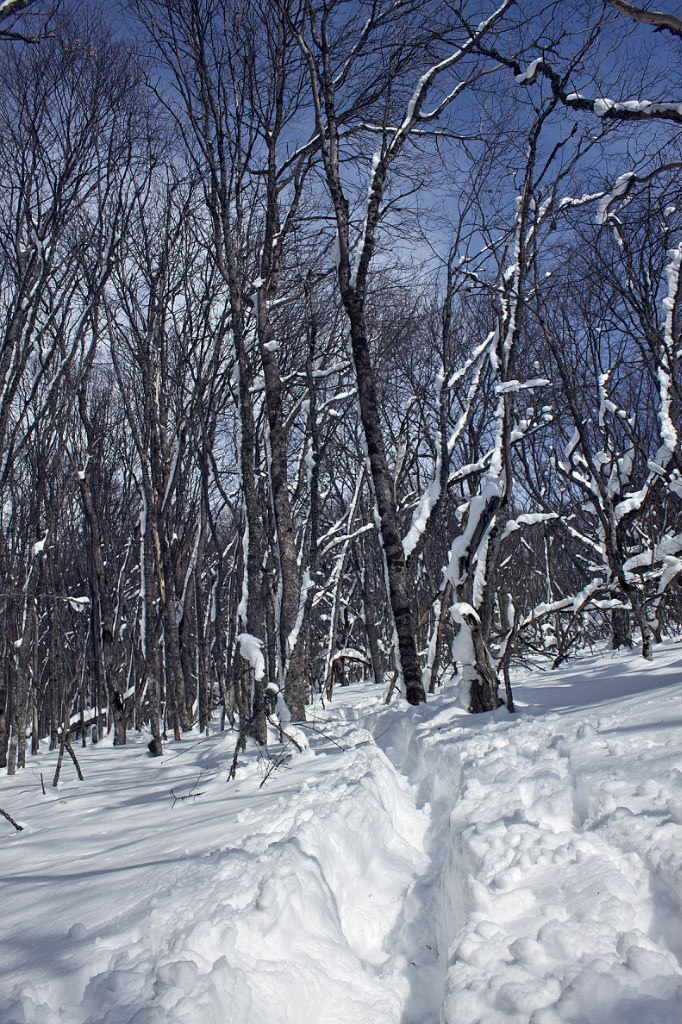Сергей Марченко | Харьков