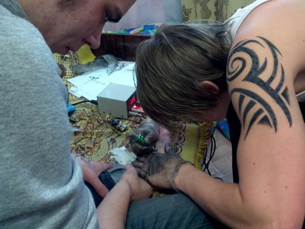 Денис Лосев | Северодвинск