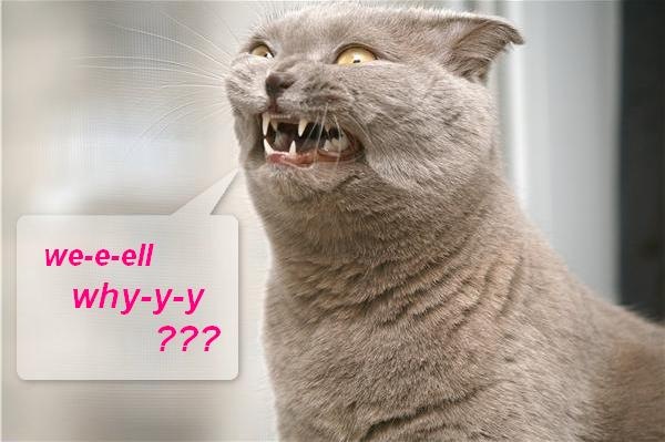 №63, Екатерина Строкань, 39 лет, Магнитогорск №63, Екатерина Строкань, 39 лет, Магнитогорск