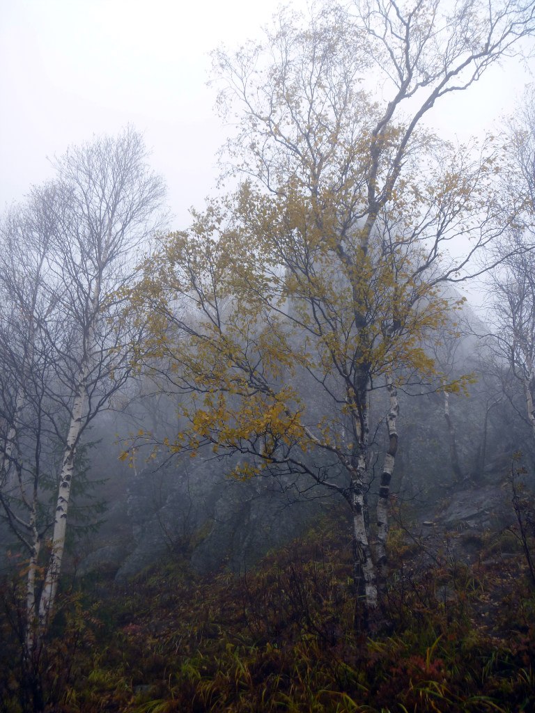 Зарина Юсупова | Уфа