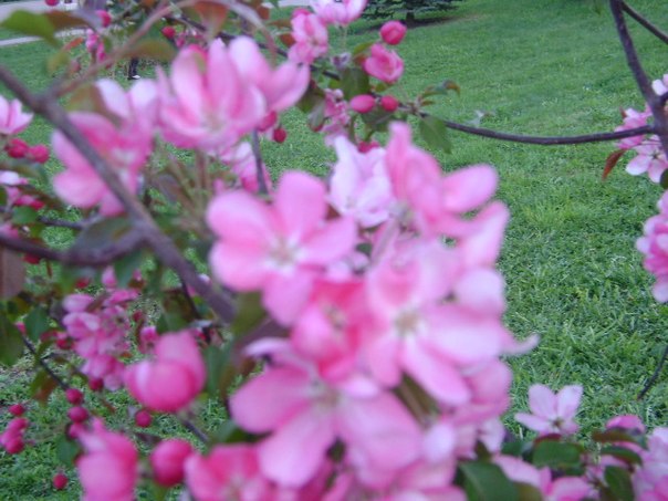 №51, Ринат Кудакаев №51, Ринат Кудакаев