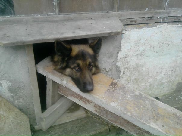 №10, Максим Величко, 44 года, Симферополь №10, Максим Величко, 44 года, Симферополь