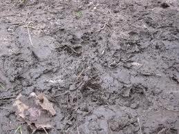 Василий Прокофьев | Минск