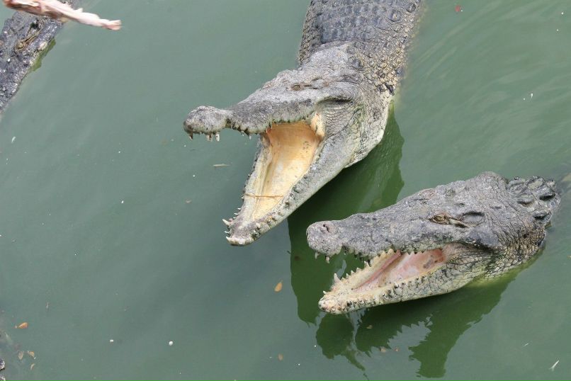 Марат Хабибрахманов ๑۩۩๑ | Казань