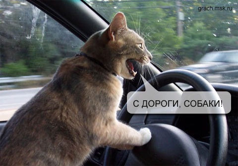 Людмила Константинова фотография #1