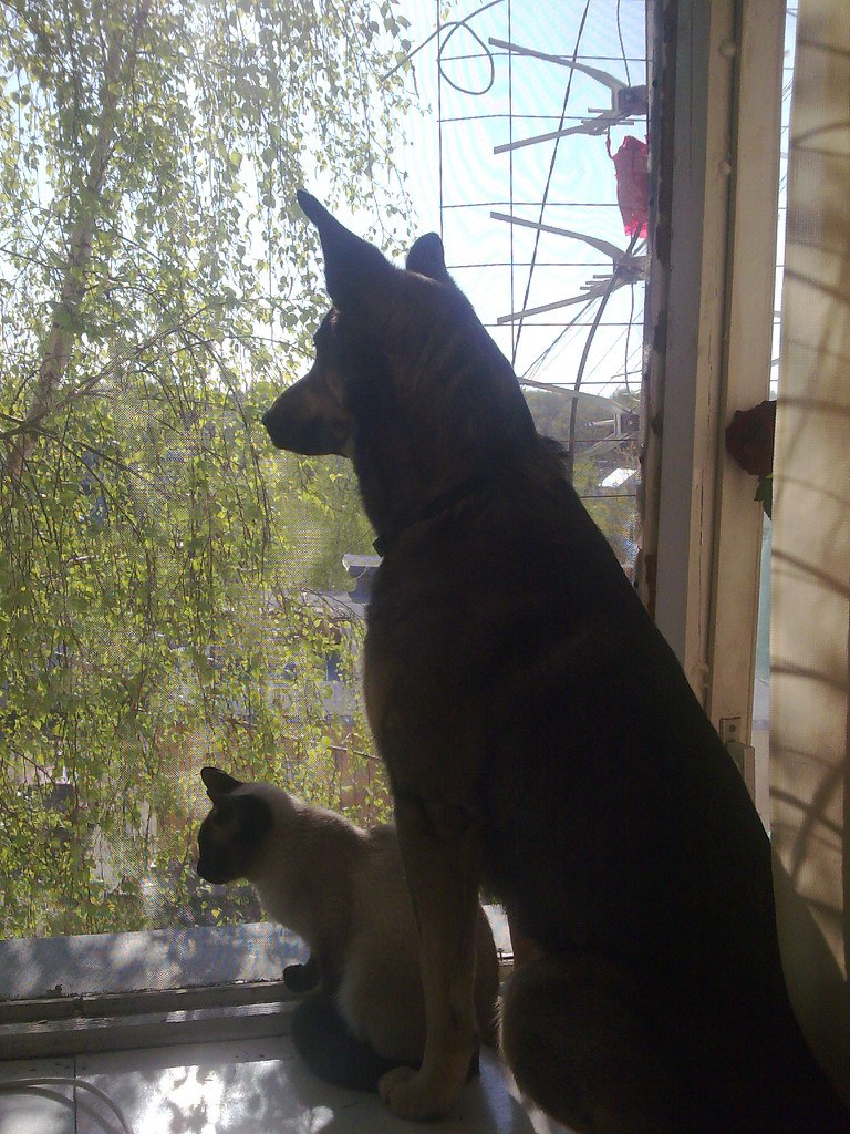 Денис Худин | Колюбакино