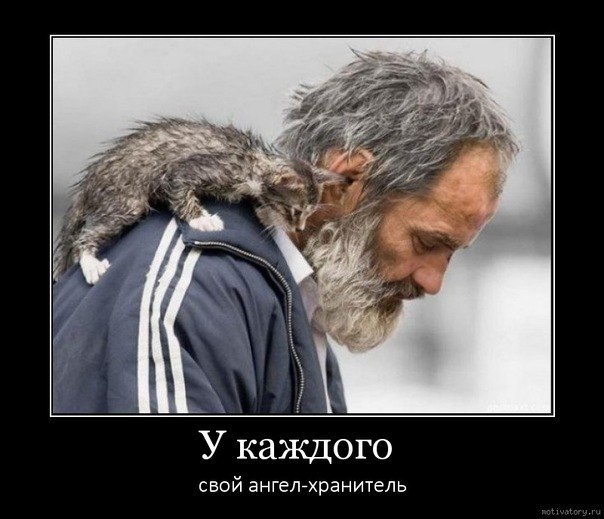 Людмила Коява | 