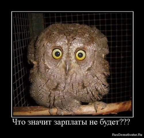 Антон Курченков | Луга