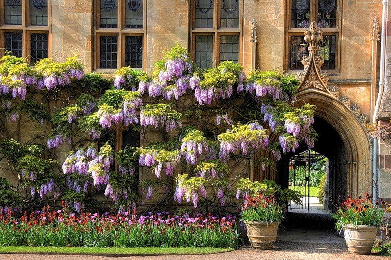 Наталия Ушакова | Санкт-Петербург