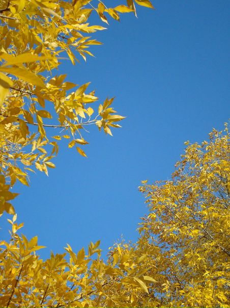 №31, Виктория Степанова, Запорожье №31, Виктория Степанова, Запорожье