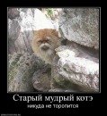 Фотография Виктор Бедушный-Змей
