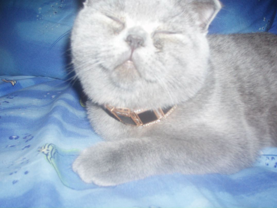 Оля Цымбалюк | Коростышев