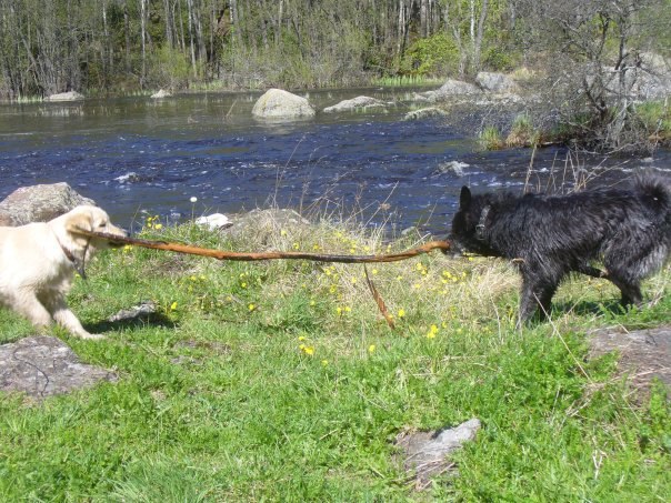Леонид Негинский | Санкт-Петербург
