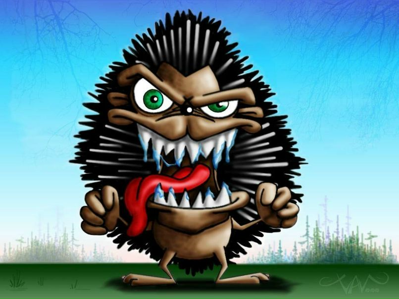 Роман Рудой | Кишин