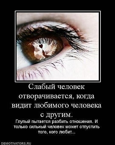 №33, Oll Streltsov, Одесса №33, Oll Streltsov, Одесса