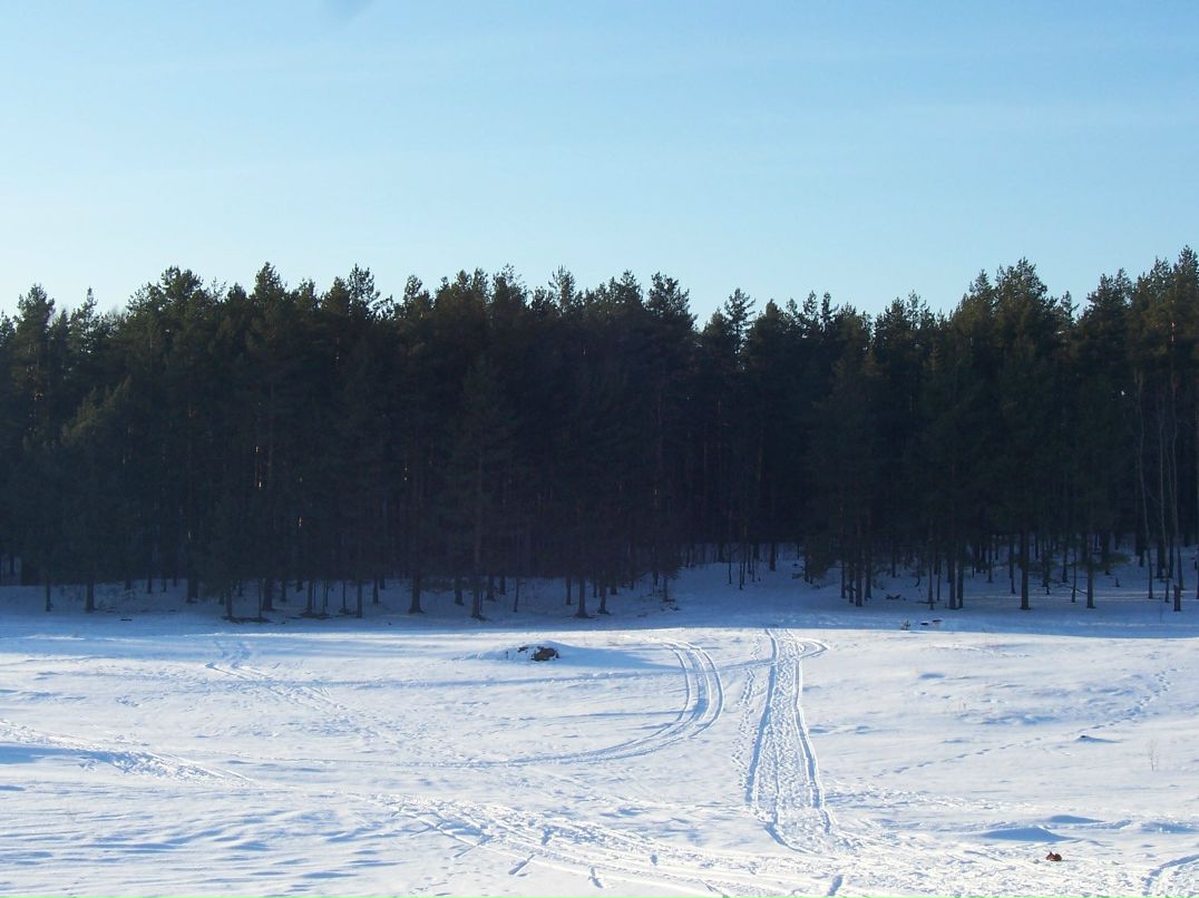 Евгений Бордюговский | Санкт-Петербург