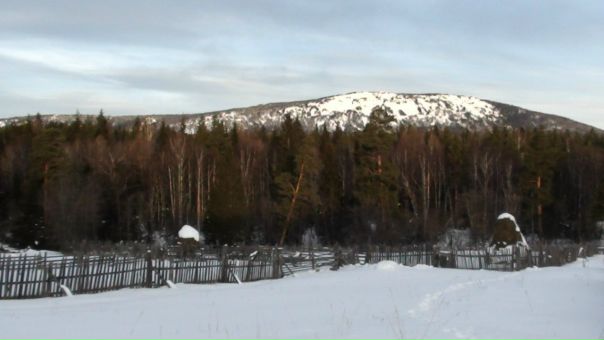 №131, Константин Тарасов, 30.5 №131, Константин Тарасов, 30.5