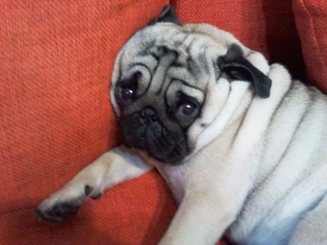 Олеся Осипова | Киев