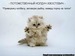 Олеся Гатина фотография #20 (источник - https://vk.com/id71344394)